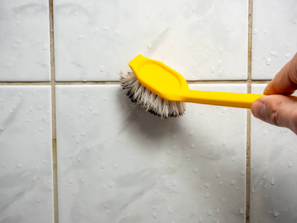 Best Local Mold Removal Service  in Town Line, NY